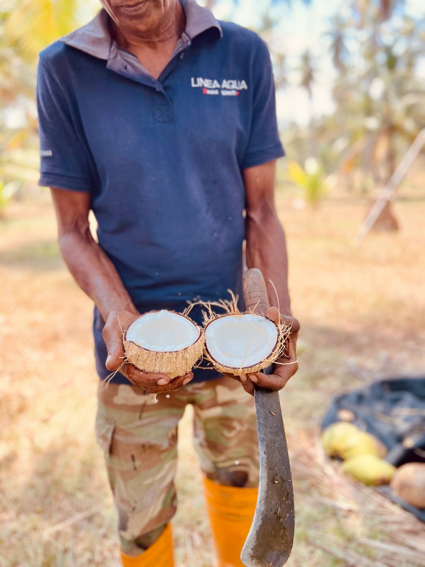 Treehouse Originals - Cinnamon Vegan Coconut Creamer Bulk | Treehouse OriginalsTreehouse Originals - Cinnamon Vegan Coconut Creamer Bulk | Treehouse Originals - Premium Coffee Supply from Treehouse Originals - Just $15.80! Shop now at SanTee Coffee and Tea Company