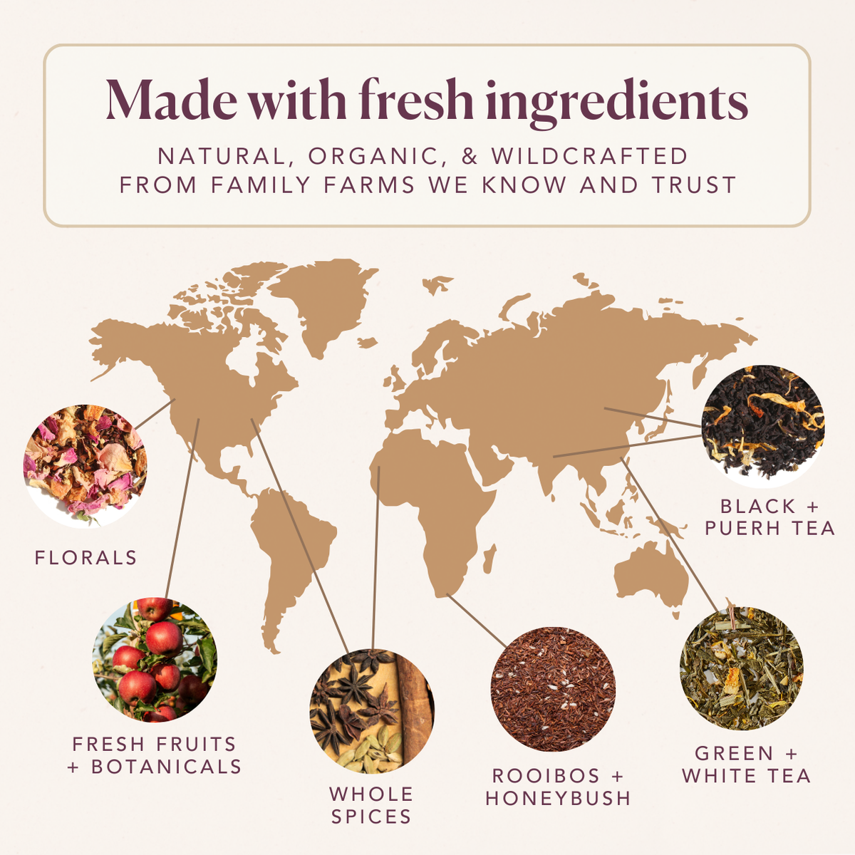 Plum Deluxe Tea - Golden Cacao Turmeric Chocolate Adaptogen Herbal Tea: 1 lb